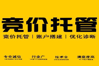 搜索引擎营销（SEM）专员的五大成功案例